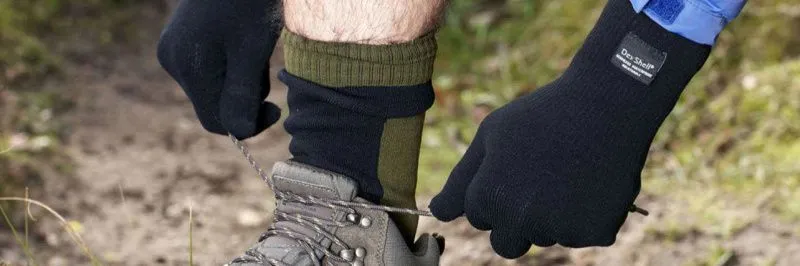 Почему DexShell нужен каждому охотнику Почему DexShell нужен каждому охотнику